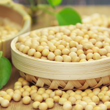 Wholesale Agriculture Products High Quality soybean